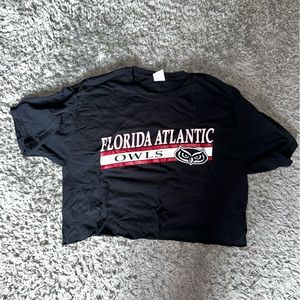 FAU Crop Top
